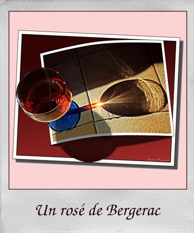 Bergerac-Rose_Pola_1000.jpg