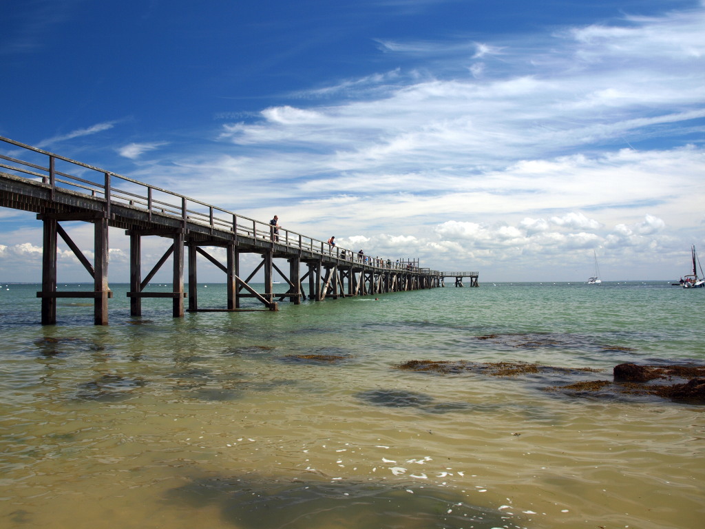 paysage de noirmoutier - Image