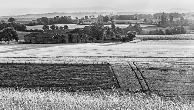 la ferme.jpg